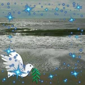 Meet your Posher, Eva